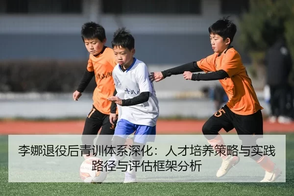 李娜退役后青训体系深化：人才培养策略与实践路径与评估框架分析