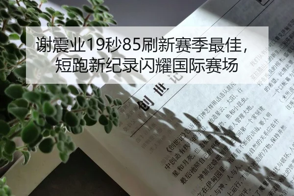 谢震业19秒85刷新赛季最佳，短跑新纪录闪耀国际赛场